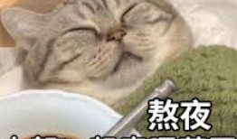 最新爆料肥猫,揭秘娱乐圈背后的惊人真相