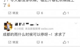 小雨爆料最新新闻消息,最新热点新闻事件深度解析