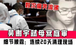 吴谢宇最新爆料,揭秘惊人内幕