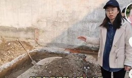 最新爆料田静评论视频,揭秘背后真相与观点交锋