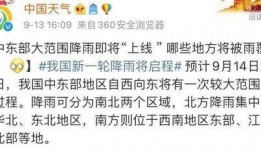 小雨爆料最新新闻消息,最新热点新闻事件深度解析