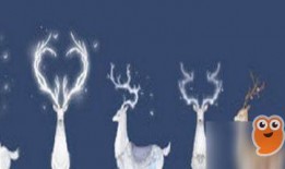 逆水寒最新爆料坐骑攻略,解锁速度与激情，驾驭江湖风云