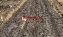 寿县论坛最新爆料,揭秘当地最新热点事件